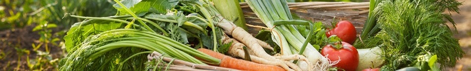 Imagen de verduras